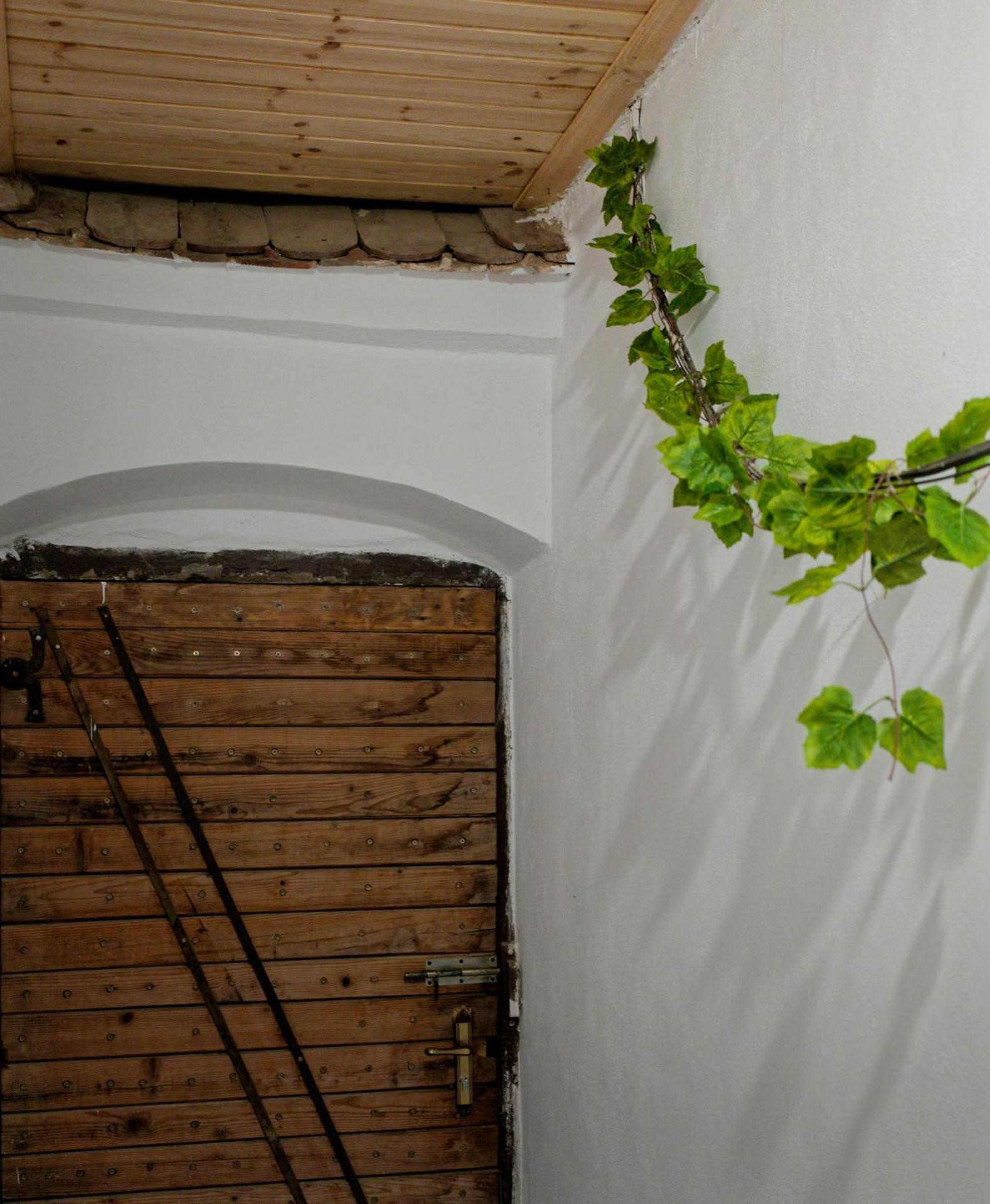 ,, La Maison Concordia " Cincu Buitenkant foto